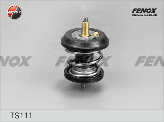 Термостат VAG Passat B6 05-, Octavia A5 04- 1.8T/2.0T 95°С / FENOX TS111