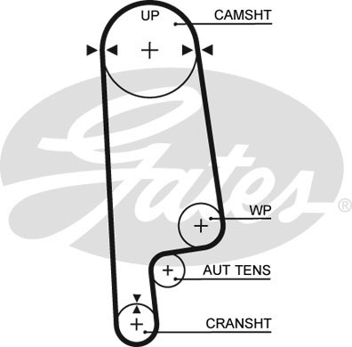 Ремень ГРМ GATES /859715234/ 113*24 HONDA
