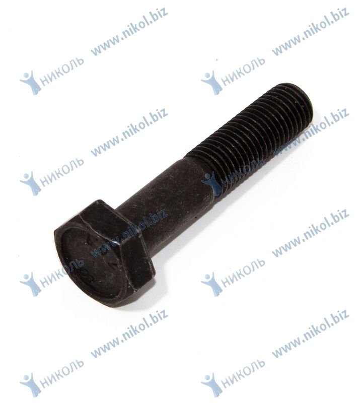 Болт М10*30*1,25 распредвала VAG