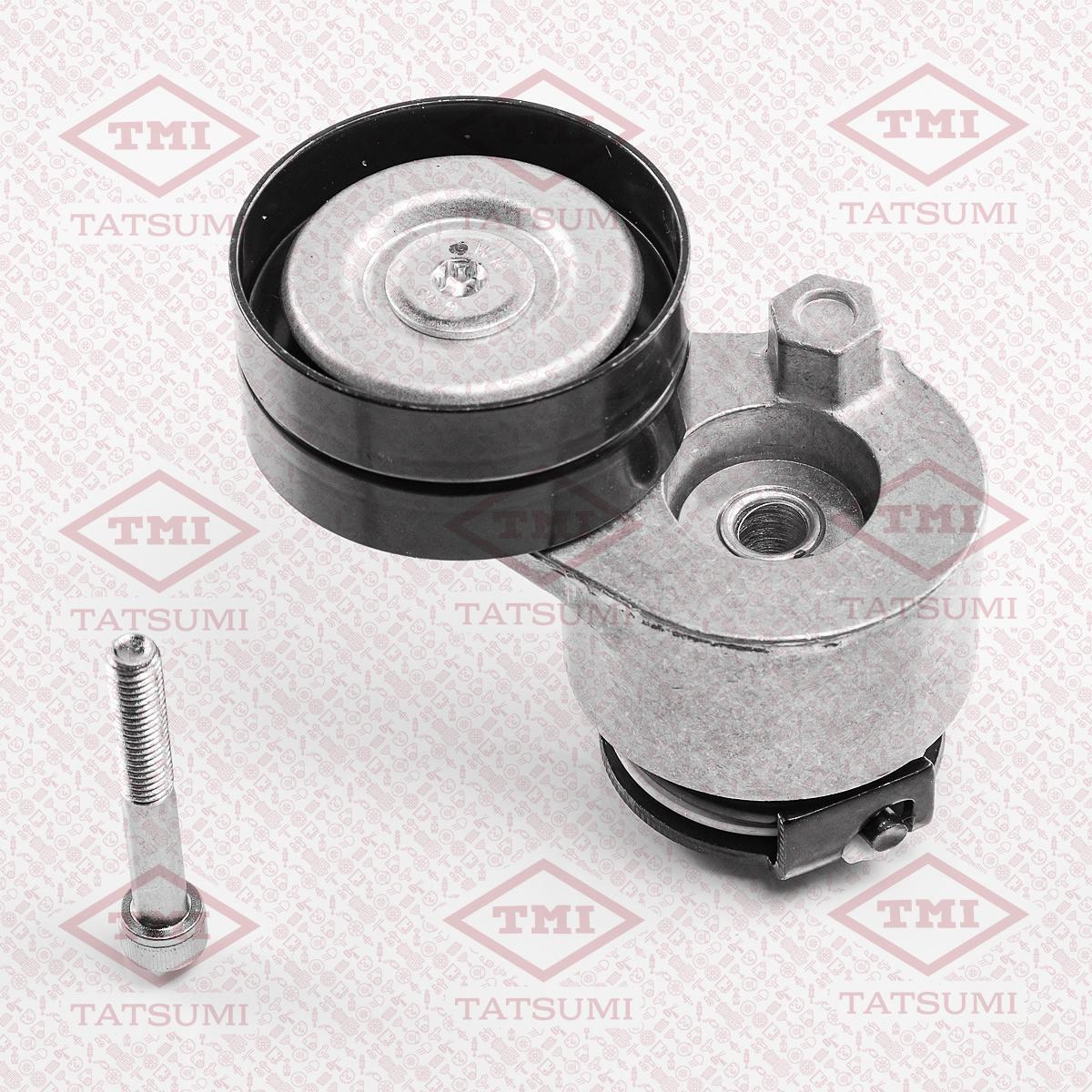 Натяжитель NISSAN QASHQAI / RENAULT DUSTER 1,5D/2,0 приводного ремня