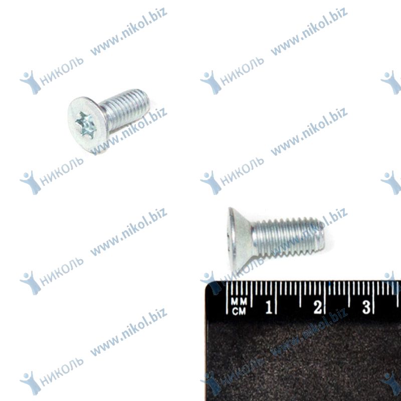 Винт М8*20 замка двери 2170 (крат_уп_10шт) БелЗАН ОАО