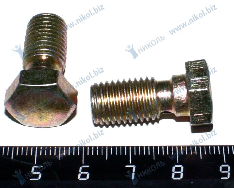 Болт переднего тормозного шланга 2101 (крат_уп_10шт) РЗИ