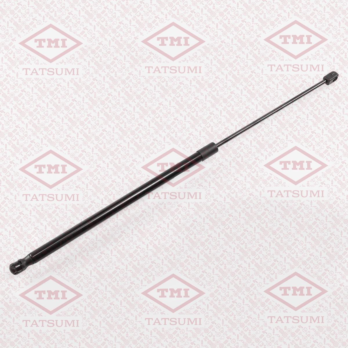 Упор багажника TATSUMI (L=640mm, F=510N)