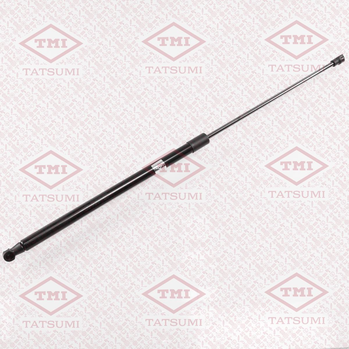 Упор багажника TATSUMI (L=648mm, F=260N)